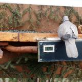 photo 2021-03-05 14-12-41