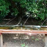 photo 2021-08-09 12-22-27