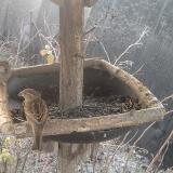 photo 2019-12-30 07-47-02