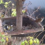 photo 2019-12-14 11-17-06