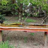 photo 2021-04-26 15-22-14