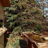 photo 2021-11-18 12-32-31