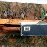 photo 2021-02-19 14-55-25