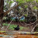 photo 2021-04-14 13-23-09 rigo