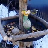 photo 2019-01-14 12-47-17