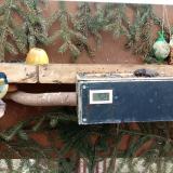 photo 2021-02-01 12-08-49