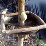 photo 2019-02-09 15-16-40