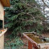 photo 2021-11-18 09-35-28