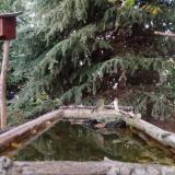 photo 2023-10-11 17-59-50