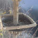 photo 2019-12-31 12-15-26