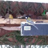 photo 2021-02-11 07-18-53