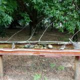 photo 2021-07-12 11-49-14