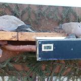 photo 2021-03-08 07-11-38