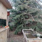 photo 2021-12-26 14-45-32