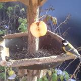 photo 2019-12-03 13-41-24