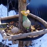 photo 2019-01-14 09-15-47