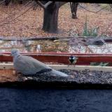 photo 2021-11-08 09-34-12