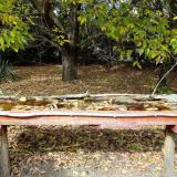 photo 2021-10-13 13-47-54