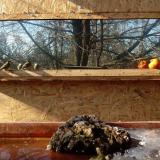 photo 2022-01-24 12-37-55