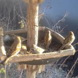 photo 2019-12-30 13-46-08