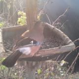 photo 2019-12-19 08-55-55