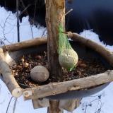 photo 2019-01-11 13-59-42