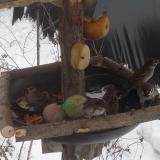 photo 2019-01-27 11-52-32