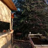 photo 2022-01-04 09-00-47