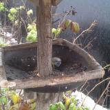 photo 2019-12-02 11-55-27