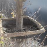 photo 2019-12-31 11-01-35