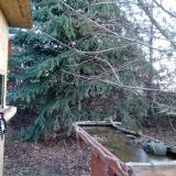 photo 2021-12-13 08-10-23