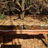 photo 2021-10-27 11-50-15