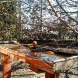 photo 2022-03-13 09-13-27