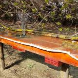 photo 2021-04-07 15-44-12