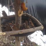 photo 2019-02-01 11-37-49