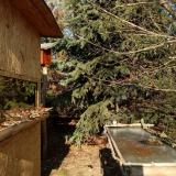 photo 2022-01-12 13-04-53