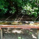 photo 2021-08-04 10-20-28