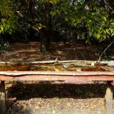 photo 2021-10-12 13-37-58