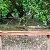 photo 2021-05-19 11-35-49