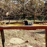 photo 2021-03-13 09-24-33