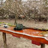 photo 2021-03-22 10-36-47