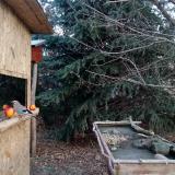 photo 2021-12-22 09-28-24