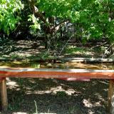 photo 2021-05-10 09-21-09