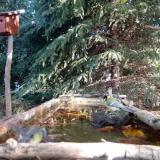 photo 2023-10-16 09-57-07