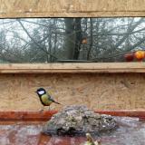 photo 2022-01-25 11-31-32