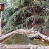 photo 2023-10-13 17-15-43