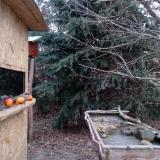 photo 2021-12-22 08-01-11