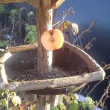 photo 2019-12-03 14-35-52