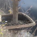 photo 2019-12-31 10-31-39