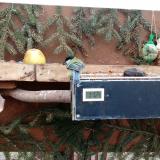 photo 2021-02-03 14-58-30